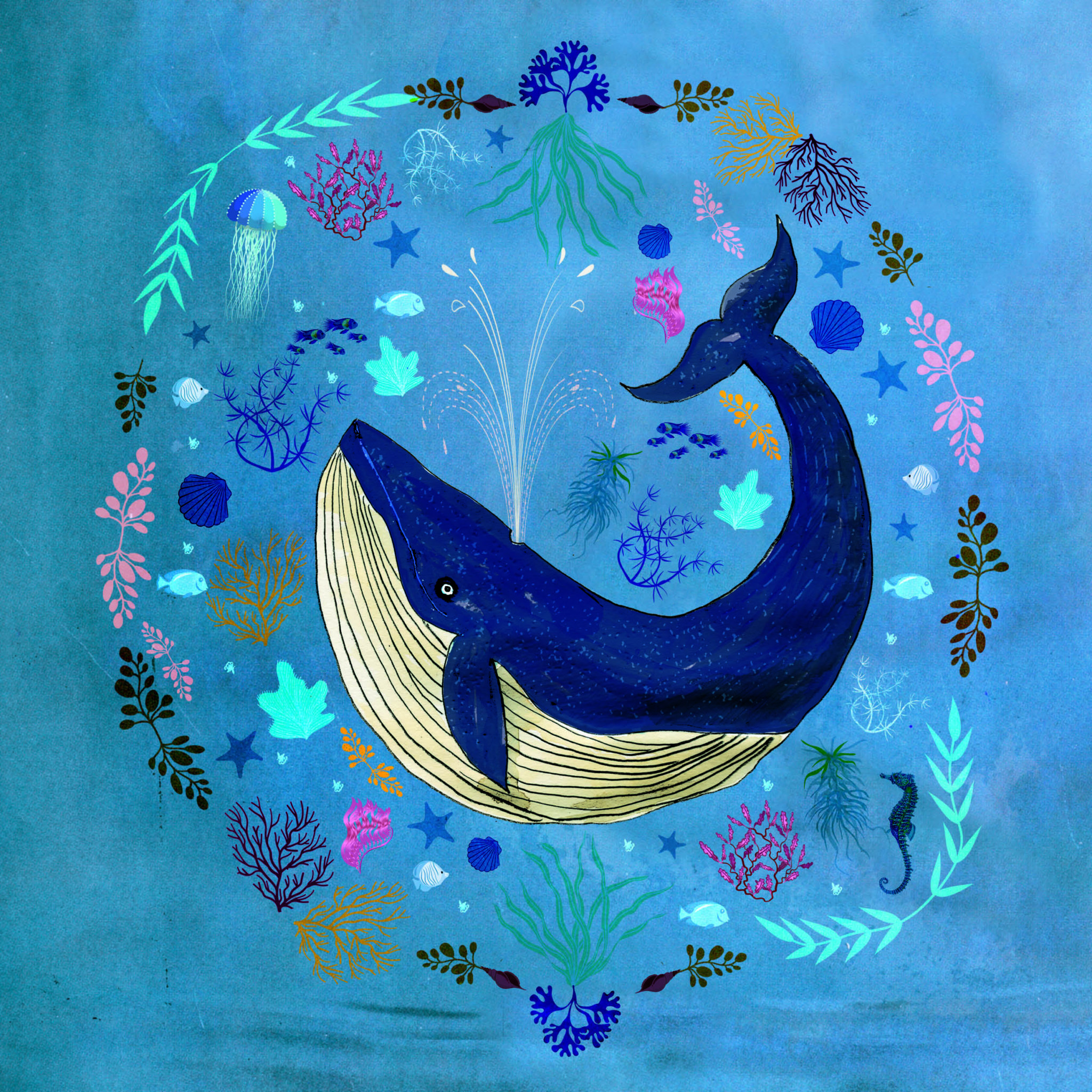 la baleine bleue