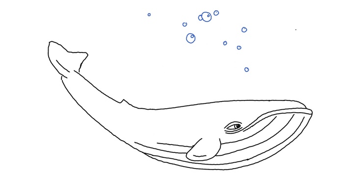 la baleine bleue